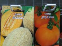 н